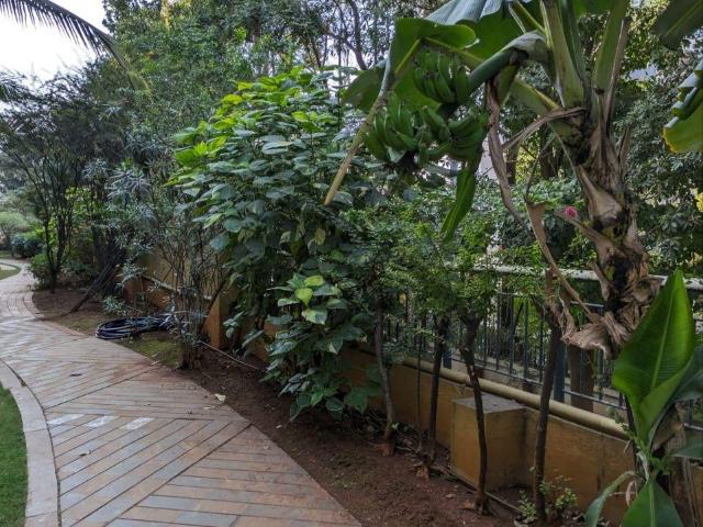 Balewadi Row House 3 Bedroom 2567 Sq. Ft. Villa in Balewadi Pune Listing ID: #10189
