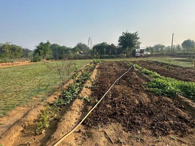 Baliawas, Bandhwari 2420 Sq.Yd. Plot in Baliawas Gurgaon Listing ID: #10377