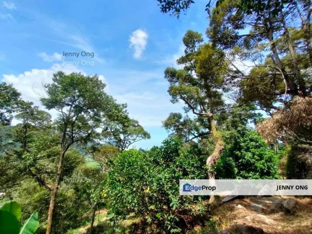 Balik Pulau / Teluk Bahang