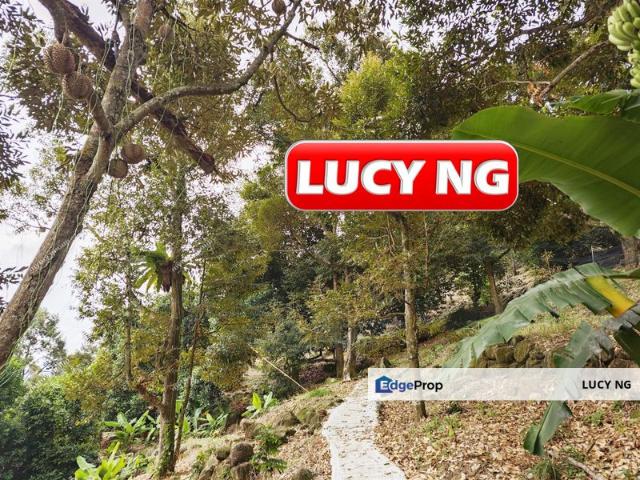 Balik Pulau / Teluk Bahang