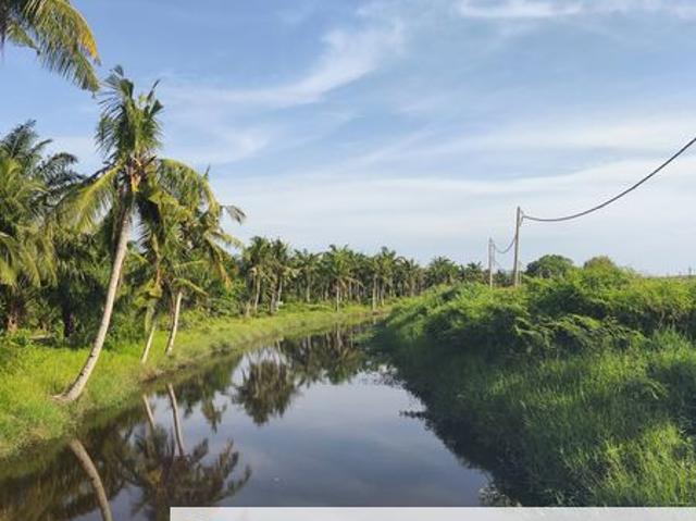 Balik Pulau / Teluk Bahang