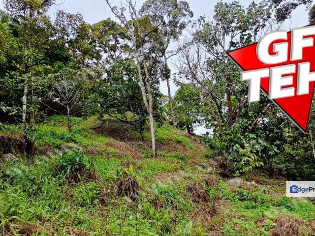 Jalan Balik Pulau / Teluk Kumbar