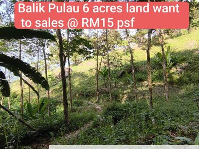 Balik Pulau / Teluk Bahang