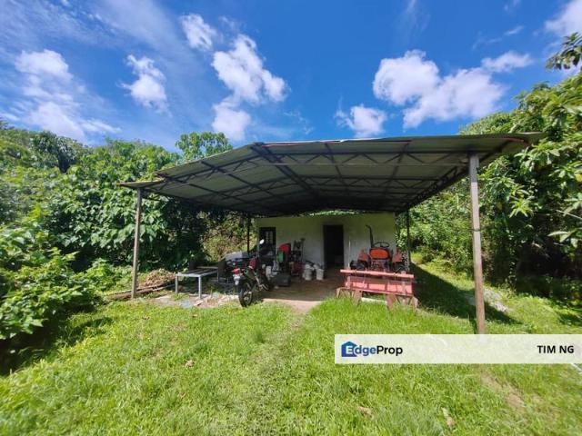 Balik Pulau / Teluk Bahang