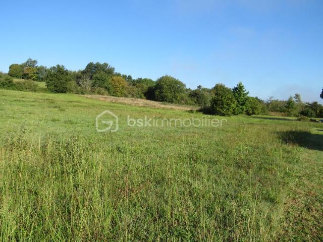Baliracq Maumusson Vente Terrain 64