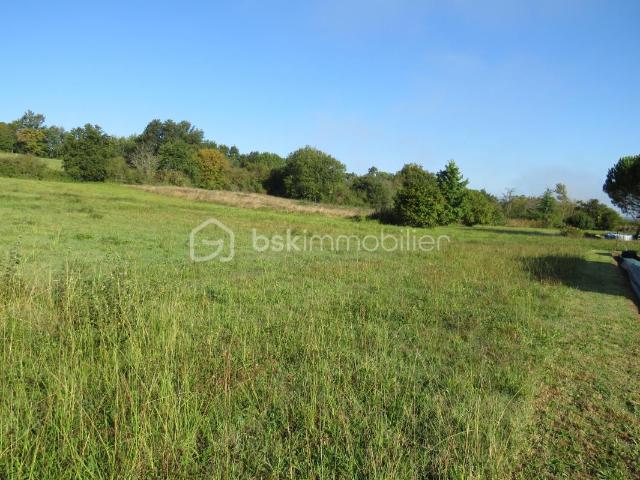 Baliracq Maumusson Vente Terrain 64