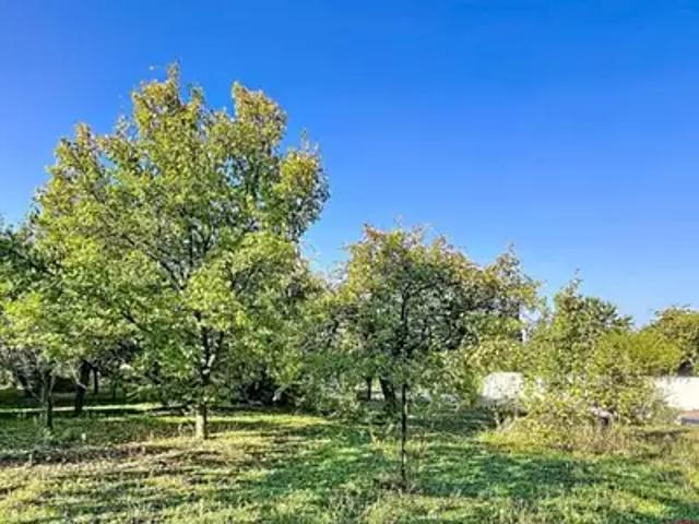 Ballancourt sur Essonne 91610 Programme neuf terrain neuf à vendre