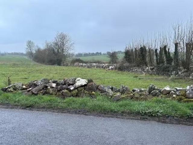 Ballingirlough, Bruff, Co. Limerick is for sale