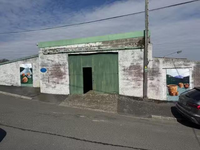 Ballon Hill, Ballon, Co. Carlow is for sale