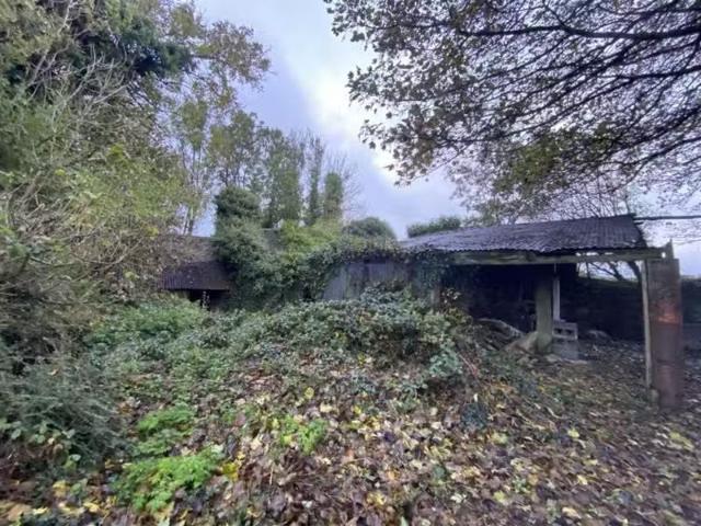 Ballysallagh Derelict Res. & C. 3 Acres, Hacketstown, County.