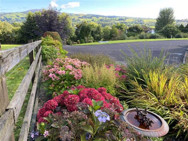 Ballyvalley, Killaloe, Clare Harry Brann Auctioneers & Valuers 215770 MyHome. Ie Residential