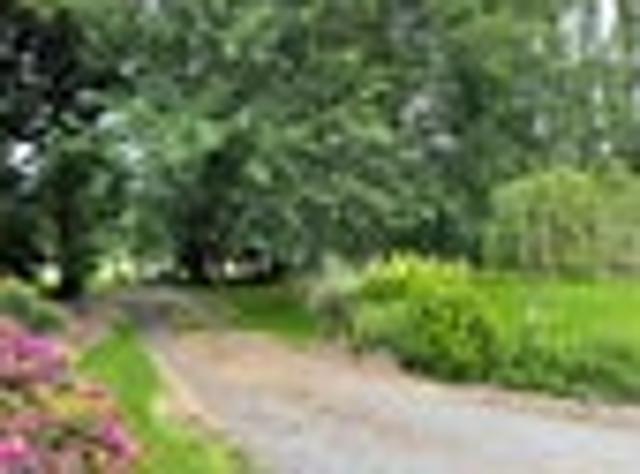 Balmoral Homestead price reduction