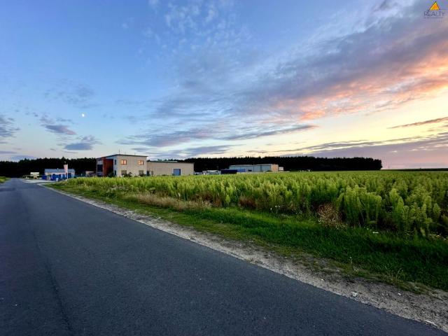 Balonowa 11 500 m², Leszno