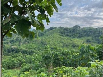 BALSA and More: Se Vende Granja Frente al río, en la Montaña y en Zona Rural en Jama