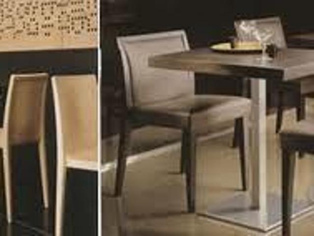 bar con cucina