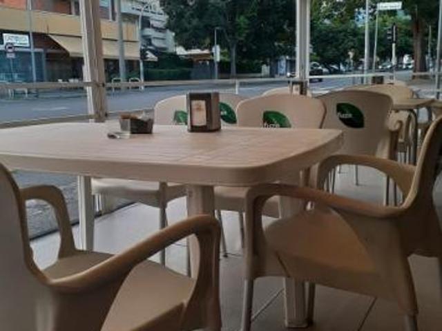 Bar Gelateria in vendita a Carrara