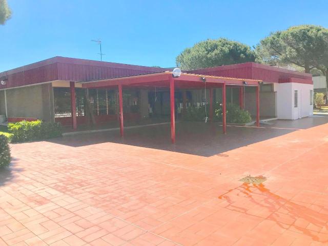 Bar in vendita a Bibbona