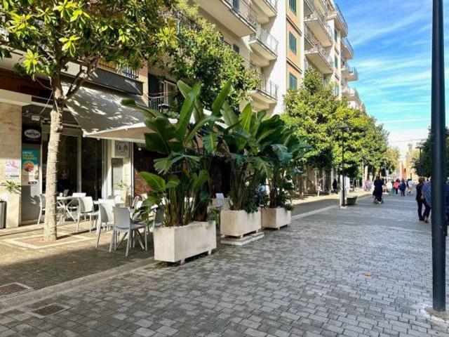 Bar in vendita a Bisceglie
