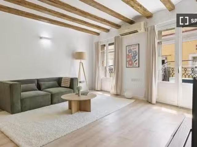 ¡En alquiler! Estudio en alquiler en El Raval, Barcelona