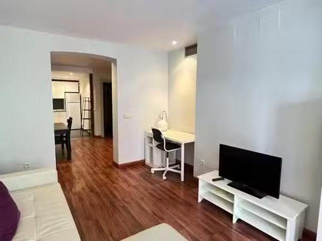 Acogedor Piso de 1 habitación en Calle de Hortaleza, Justicia