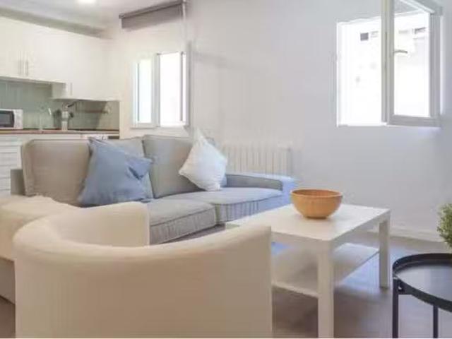 Acogedor Piso de 1 habitación en Calle Picaza