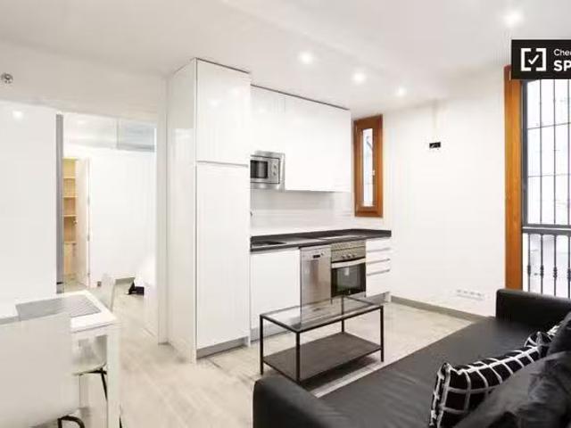 Barato Tidy apartamento de 1 dormitorio en alquiler en Trafalg.