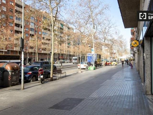 barcelona, Catalonia 08004