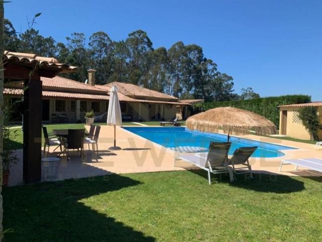 Barcelos Barcelos 92533253