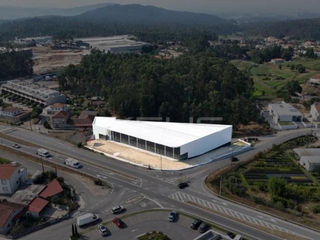 Barcelos Barcelos 93695708
