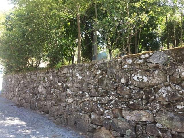 Barcelos Barcelos 97121267