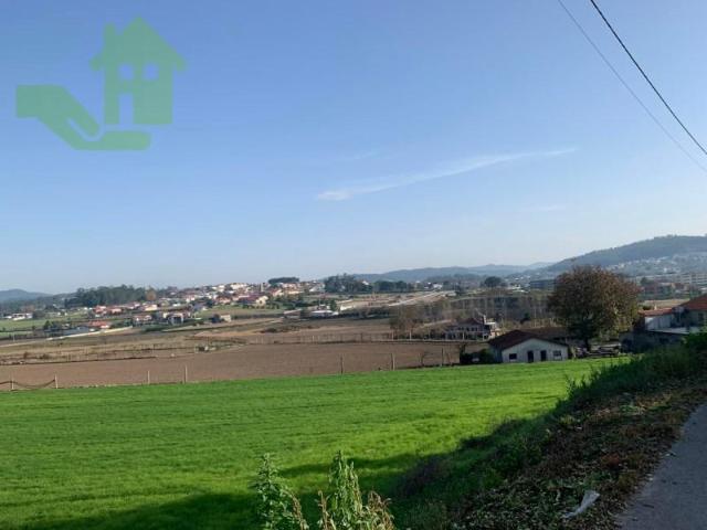 Barcelos Barcelos 97121814