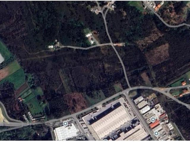 Barcelos Barcelos 102921838