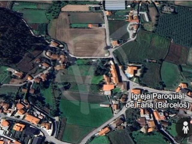 Barcelos Barcelos LS101157271