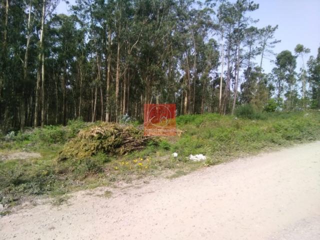 Barcelos Braga 79804072