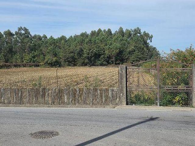 Barcelos Braga 100021178