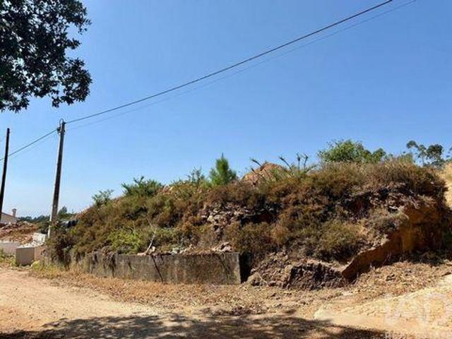 Barcelos Braga 104260919