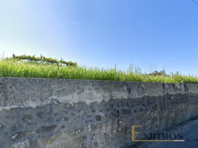 Barcelos Braga LS102704643