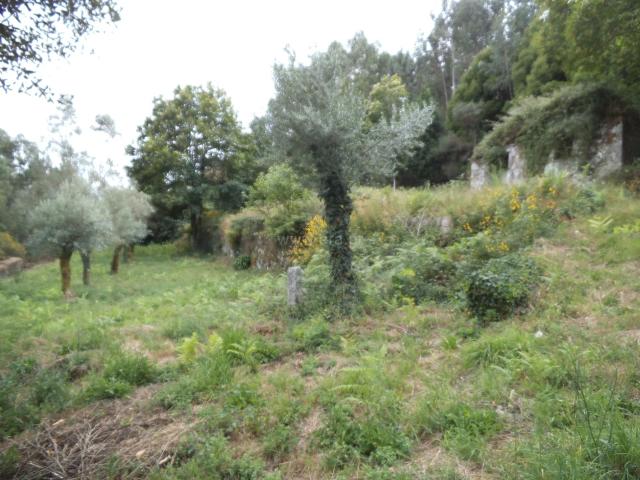 Barcelos, Campo, Moradia 131m² Campo e Tamel São Pedro Fins