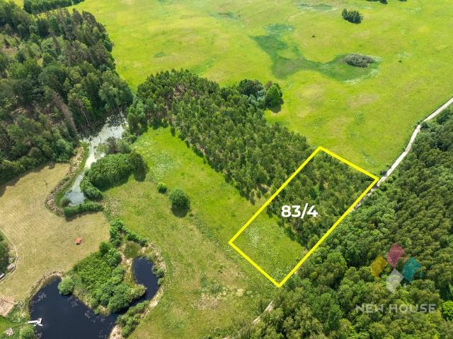 Urokliwa działka 4 769 m² z lasem i dostępem do jeziora