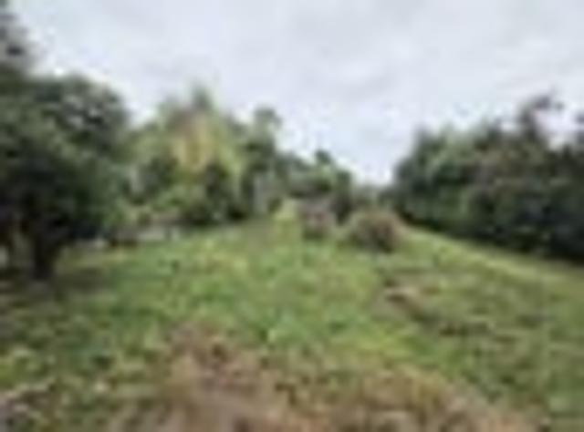 Bare Land Opportunity in Hampden