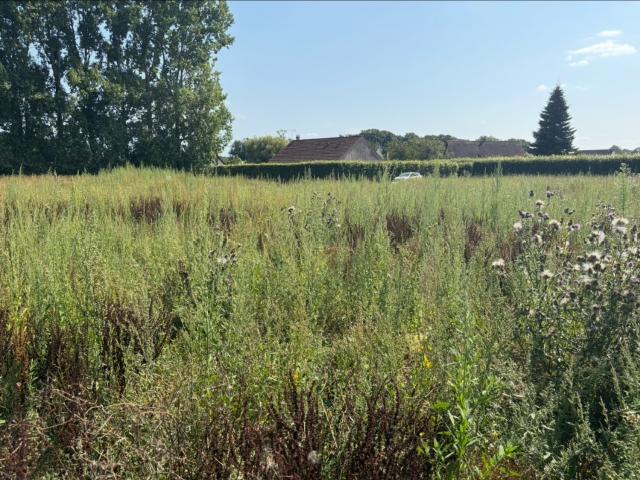 Barentin Vente Terrain 76