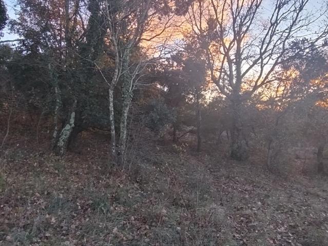 Barjac Vente Terrain 30