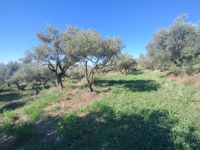 Barjac Vente Terrain 30