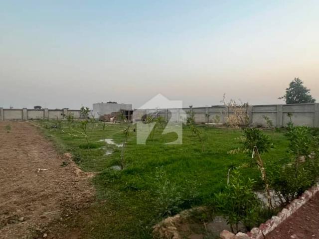Barki road open land for sale
