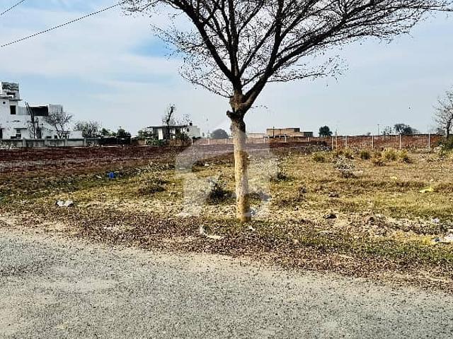 Barki road 3 kanal farm house plot gated society electricity available prime location