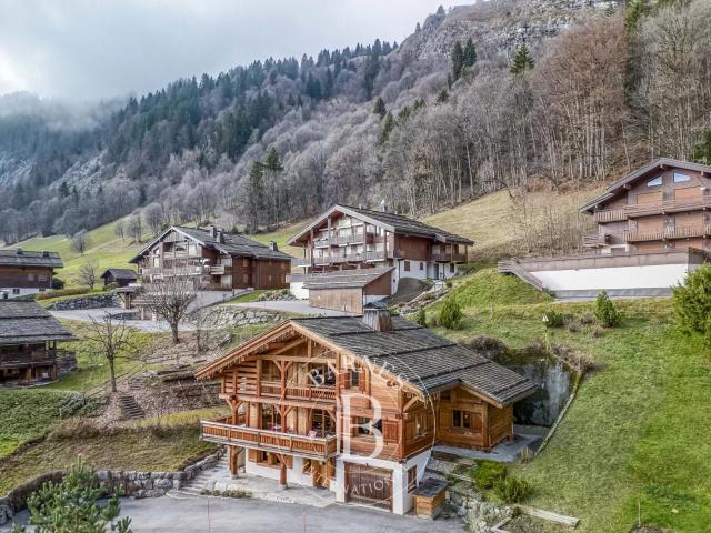 BARNES ARAVIS LE GRAND BORNAND CHALET LUMINEUX AVEC VUE PANORAMIQUE
