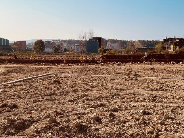 Baronwala, Dehradun Center 2575 Sq.Ft. Plot in Baronwala Dehradun Listing ID: #10282