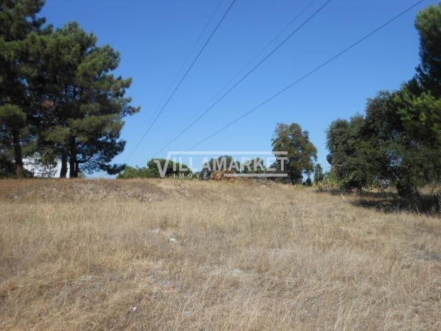 Barreiro Setúbal LS65584897