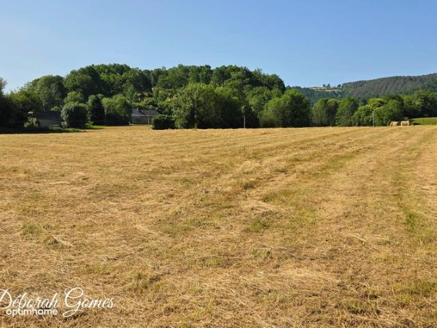 Barry Vente Terrain 65