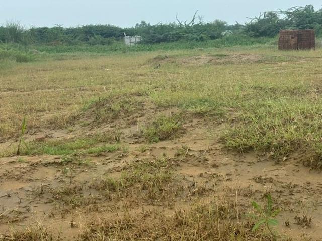 Barsana, Mathura City 2 Acre Plot in Barsana Vrindavan Listing ID: #9813